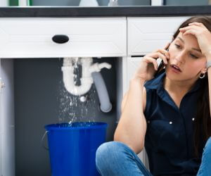 About The Faucet Pros Goldsmith, IN